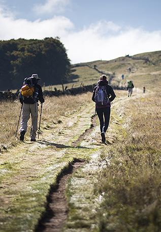 Chemin peu après Aumont-Aubrac