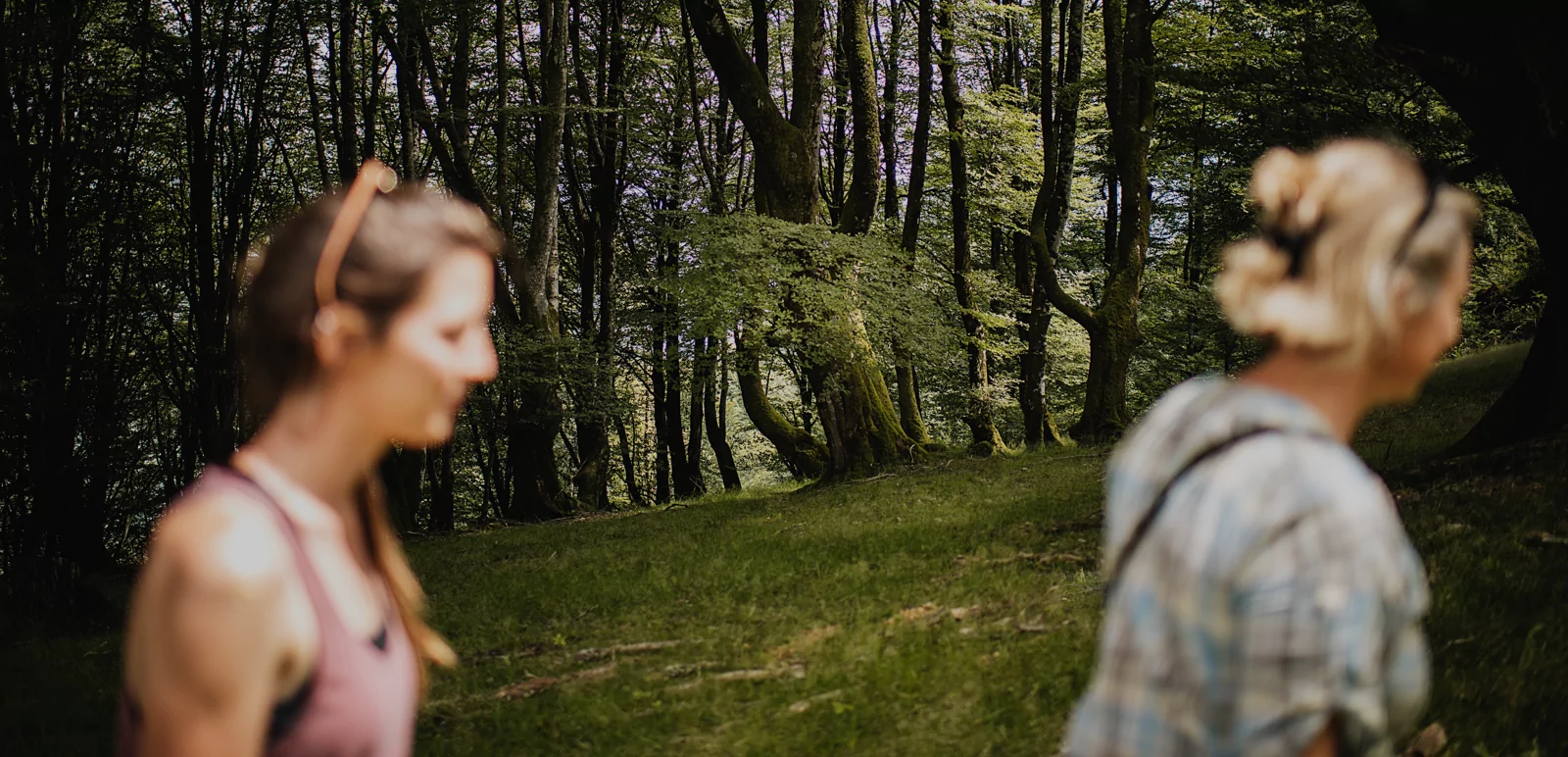 T. Vattard Voyages en groupes sur le chemin de Compostelle
