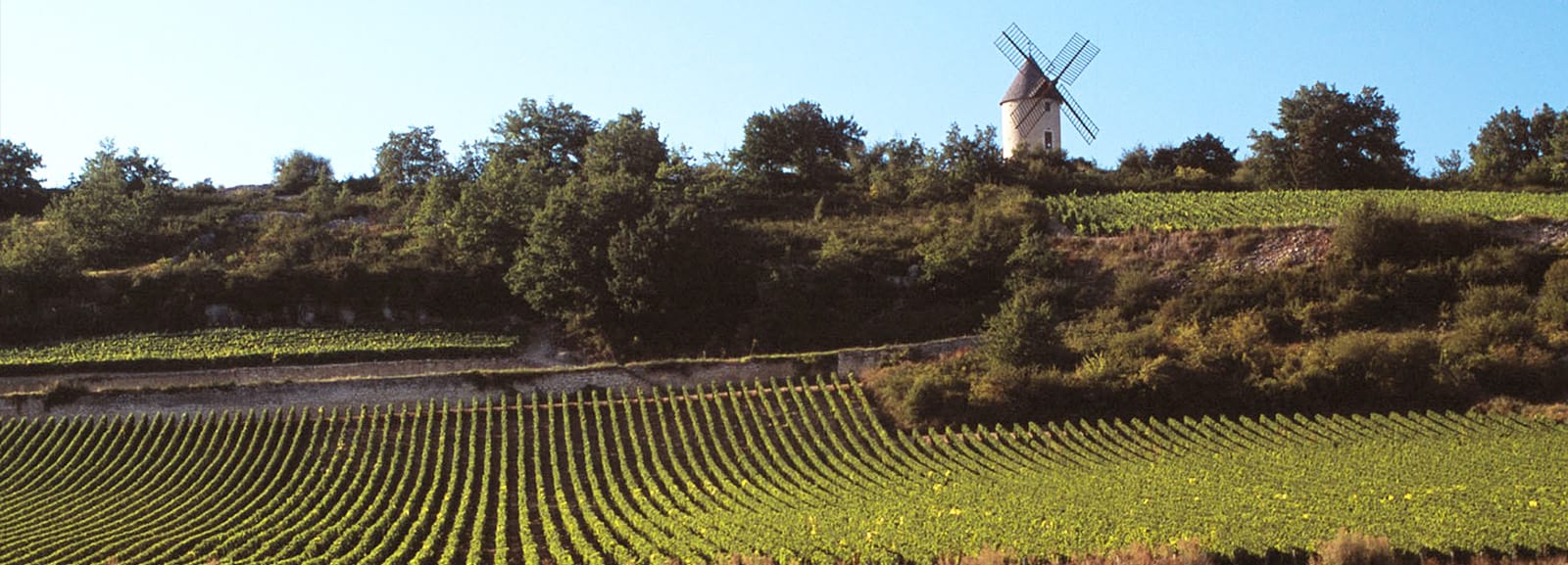 Le Château Rully, près du chemin de Cluny et des hospices de Beaune