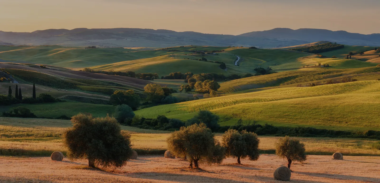 djevelekova adobestock Chemin de Saint François d'Assise