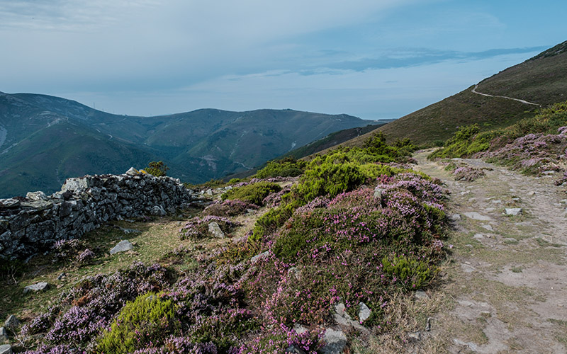 Paysages montagneux dans les Asturies