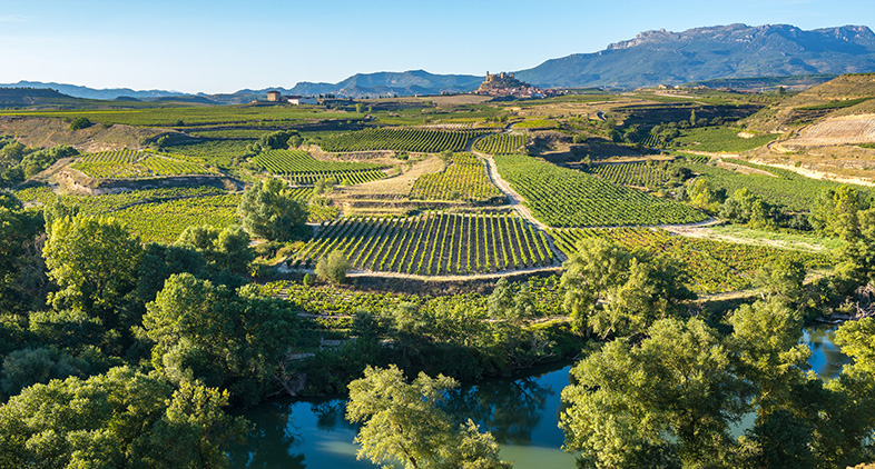 San Vicente de Sonsierra, en Rioja, près du chemin de Compostelle