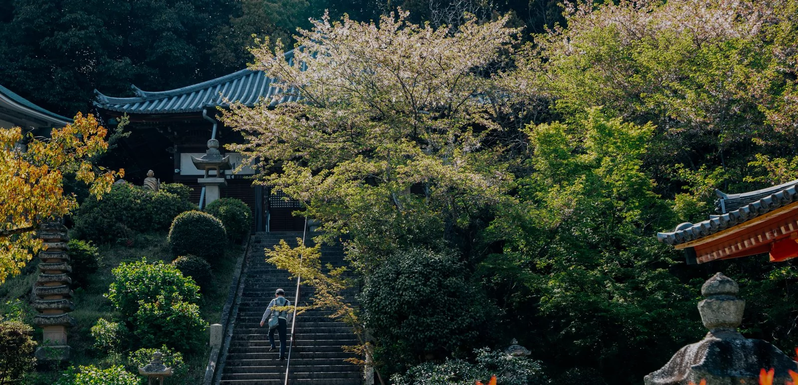 Temple chemin Shikoku, japon