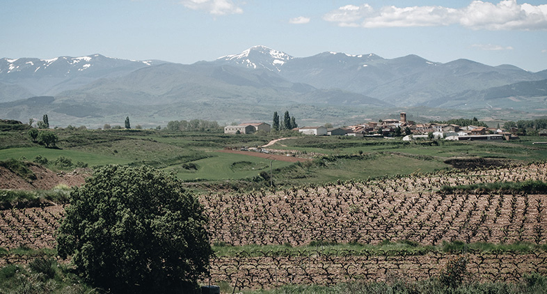 Sur le Camino Francés, près des Pyrénées