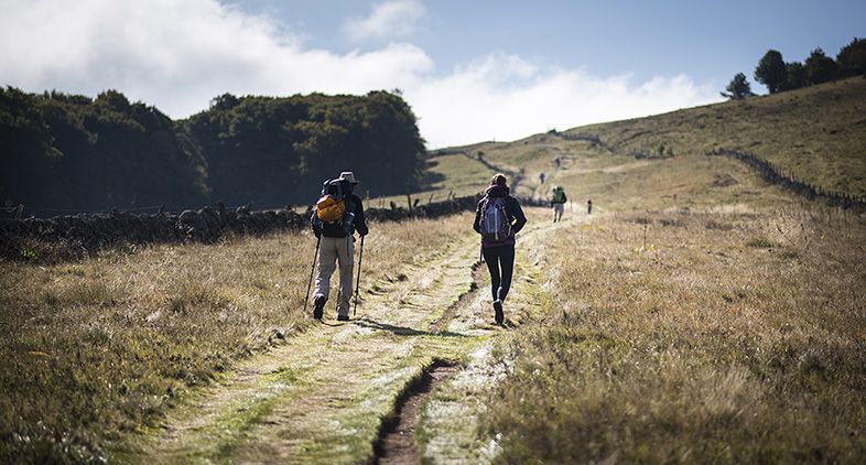 Pèlerins sur le plateau de l'Aubrac vers Compostelle - TVattard Pèlerins sur le plateau de l'Aubrac vers Compostelle