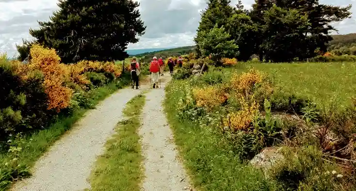 La voie du Puy par Yvette