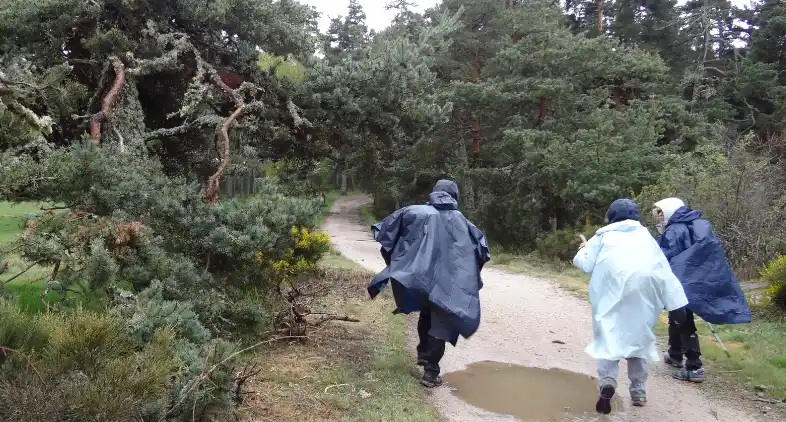 Jean-Pierre Compostelle sous nos ponchos