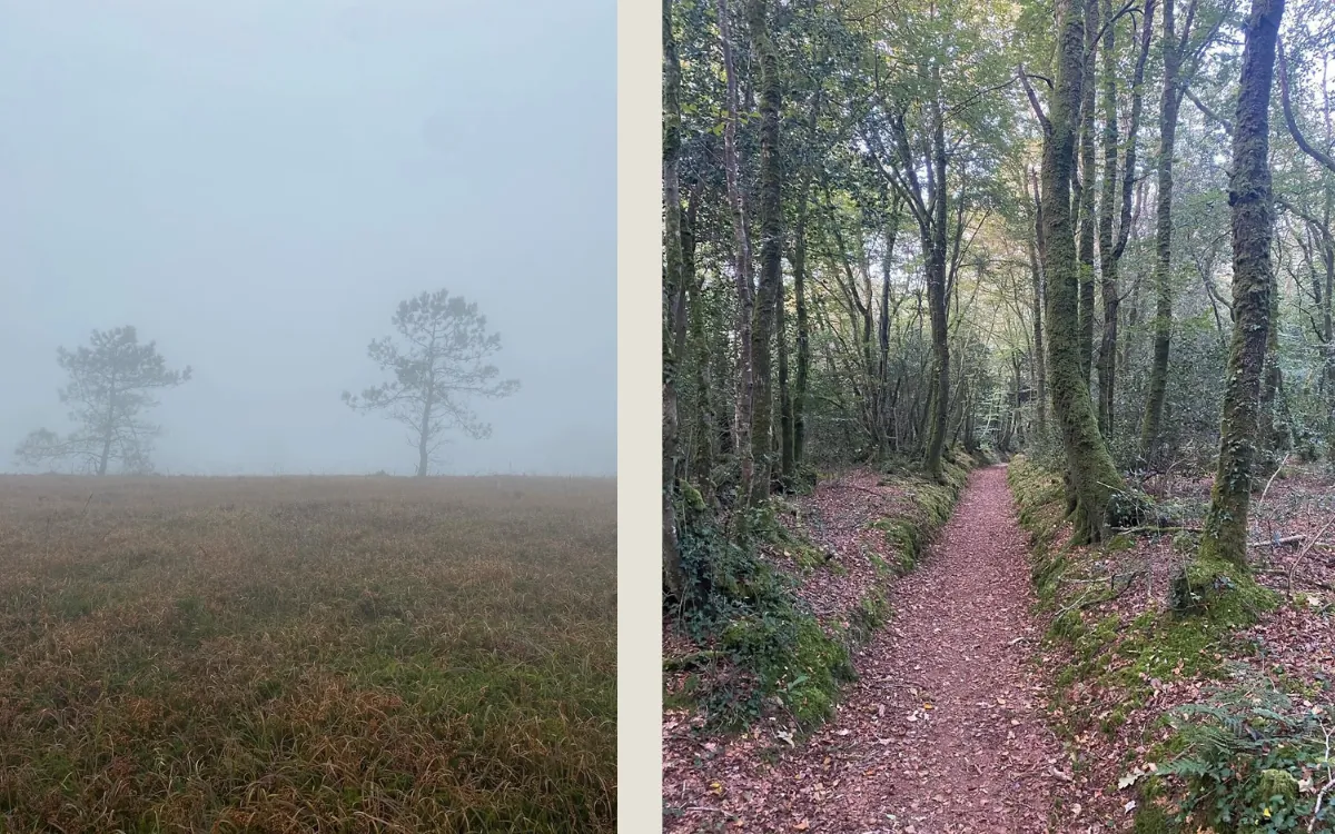 Ambiance brumeuse sur le Tro Breizh