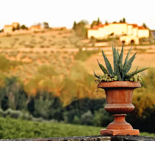 Via-francigena