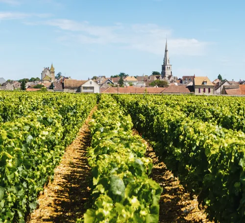 Beaune