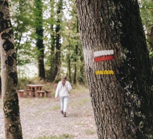 chemin-comostelle