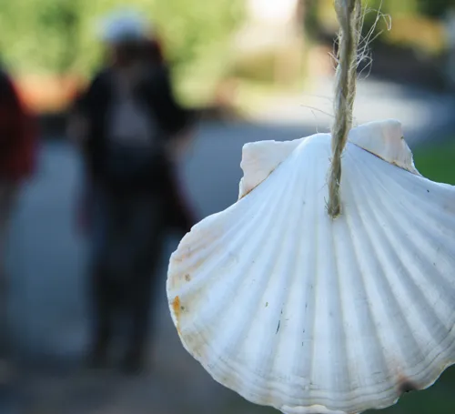 chemin-compostelle