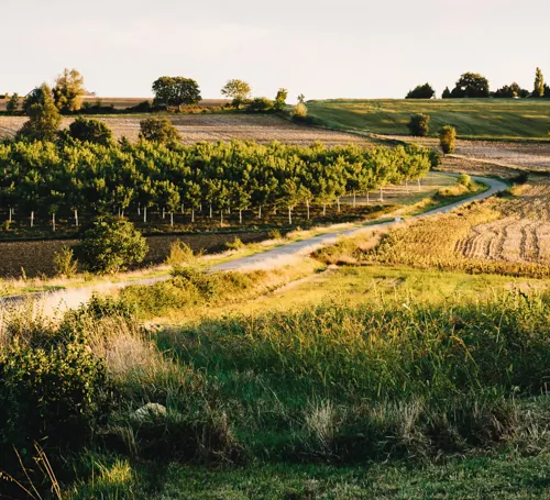 chemin-du-puy-gers-dutourdumonde-iStock