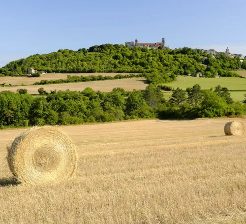 vezelay-cluny