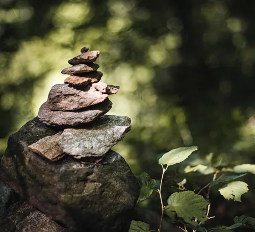 Chemin-saint-guilhem
