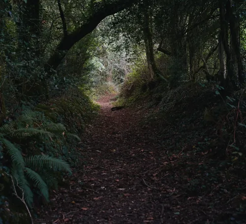 chemin-tro-breizh