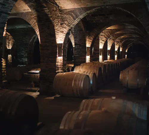 cave-vin-gaillac