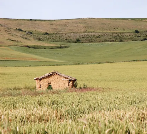 campagne-espagnol