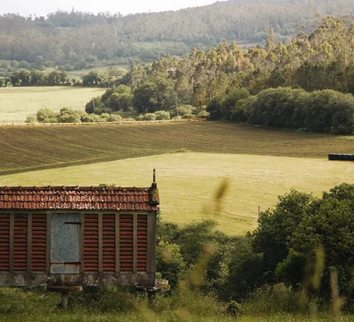 campagne-espagnole-apres-santiago