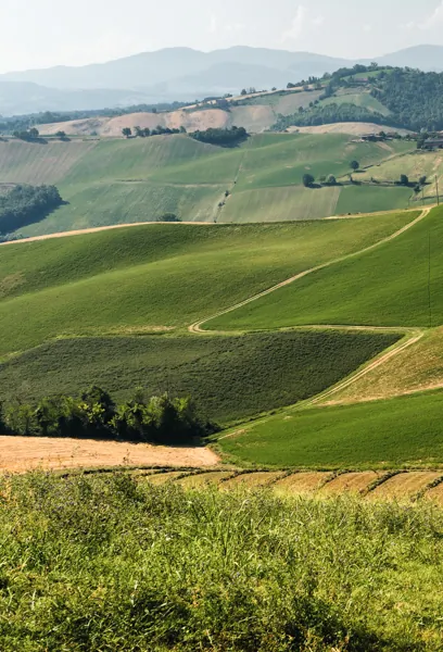 campagne-Medesano