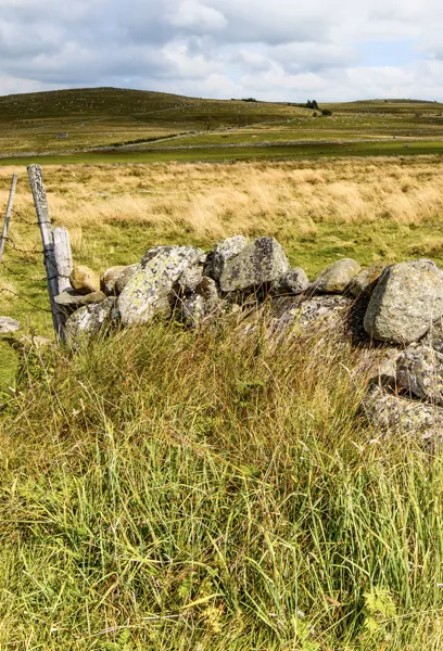 plateau-Aubrac