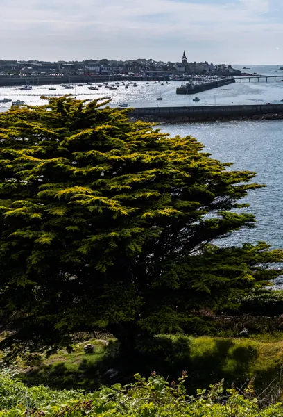 Roscoff