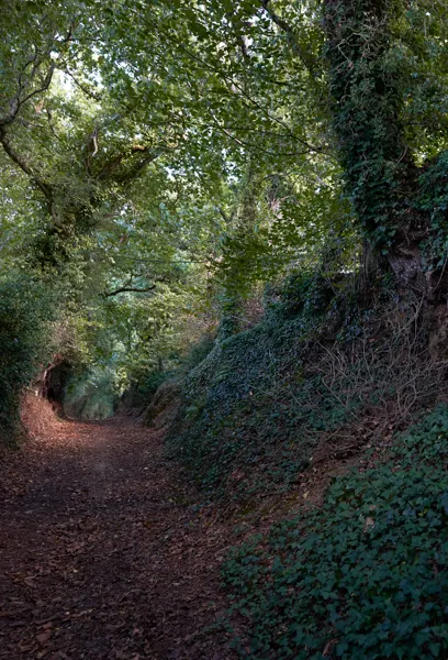 chemin-tro-breizh