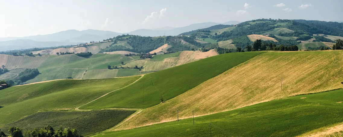 Campagne de Medesano
