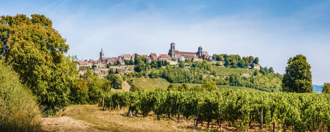 Chemin de Cluny