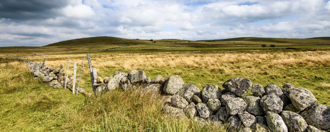 Plateau de l'Aubrac