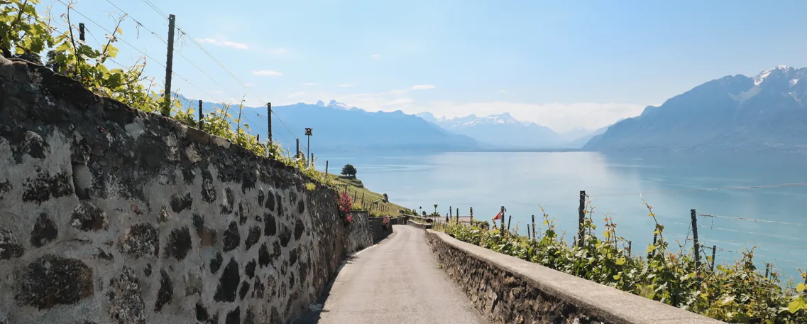 Lac Léman