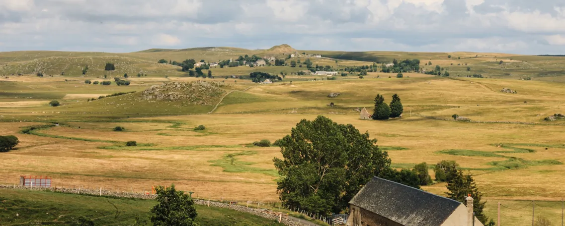 Plateau de l'Aubrac