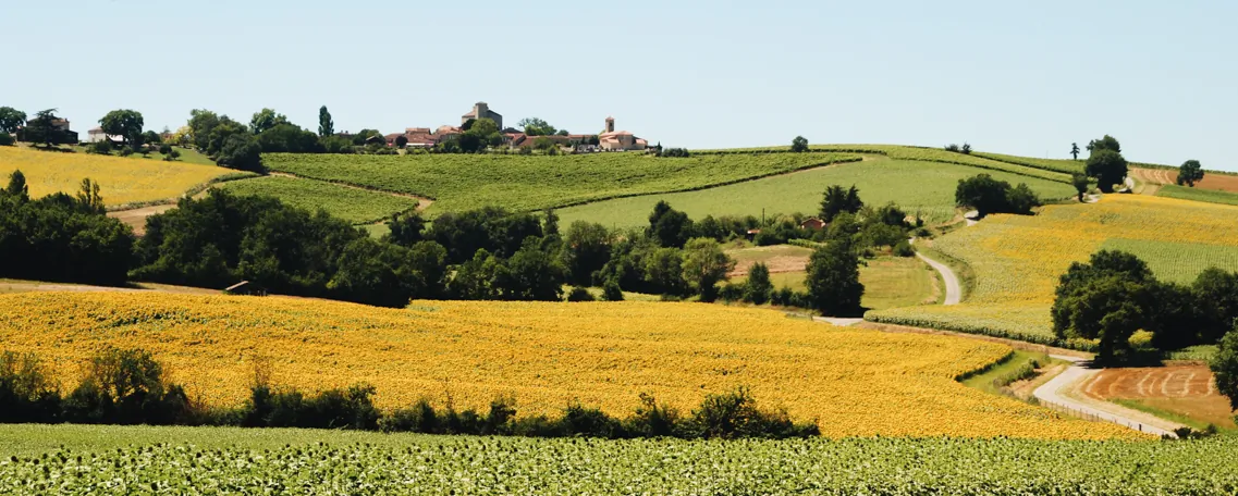 Elodiehx-AdobeStock Gers Chemin de Compostelle