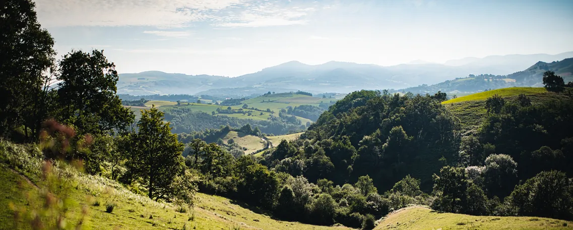 Les Pyrénées