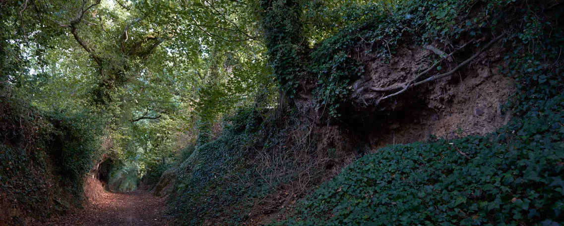 Chemin du Tro Breizh