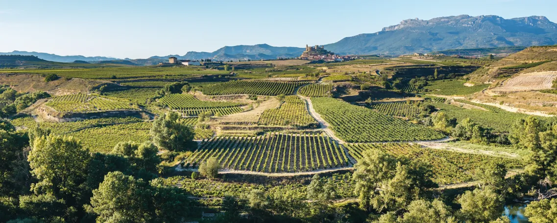Noradora-AdobeStock La Rioja
