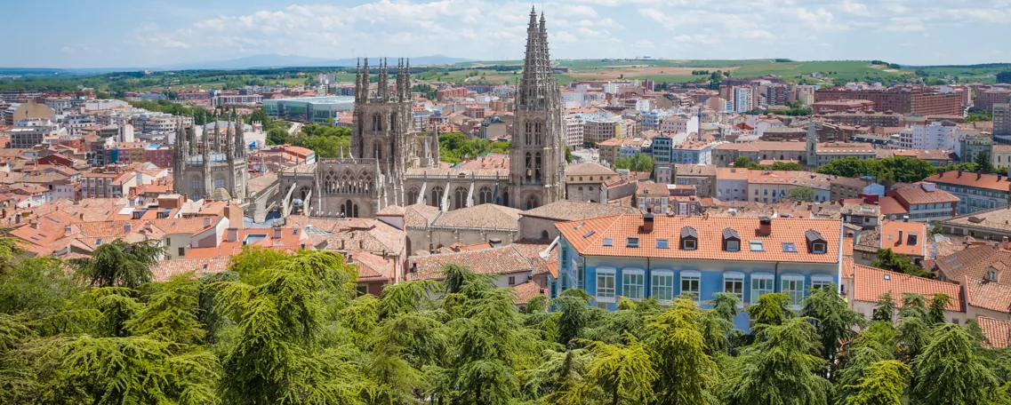 Cathédrale gothique de Burgos