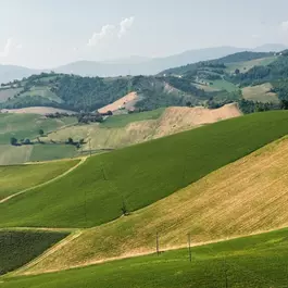 campagne-Medesano