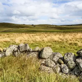 plateau-Aubrac