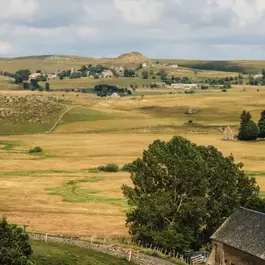 plateau-aubrac