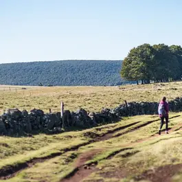 cathedrale-puy-en-velay
