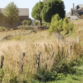 aumont-aubrac