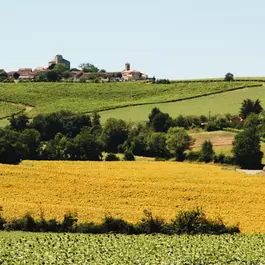 gers-chemin-compostelle