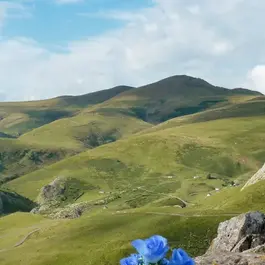 les-pyrenees