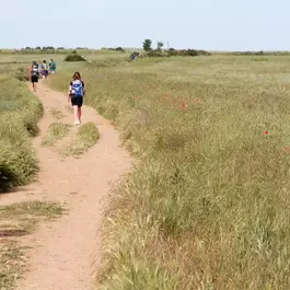 camino-frances-velo