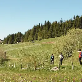 le-puy-en-velay