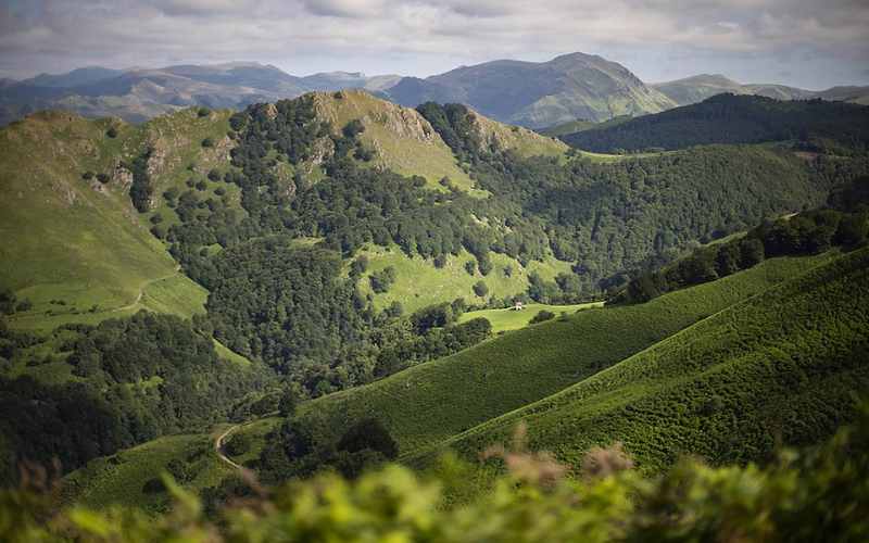 TVattard Col de Roncevaux