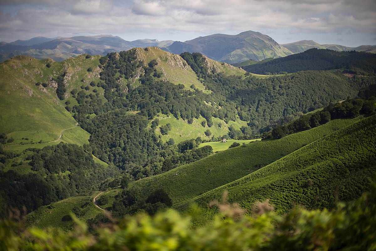 Près du col de Roncevaux, dans le Pays basque