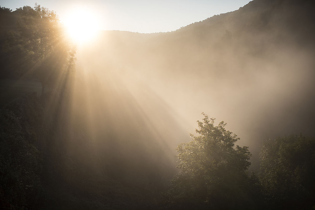 Ambiance mystique sur le chemin de Compostelle, avec le soleil qui se lève dans la brume