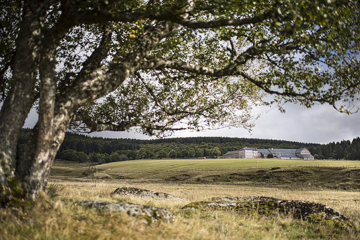 Le chemin de Compostelle sur le plateau de l'Aubrac - TVattard Le chemin de Compostelle sur le plateau de l'Aubrac - TVattard